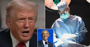 Donald Trump's obsessive hatred for his Democratic predecessor Barack Obama is taking a sinister turn as he targets Michelle Obama on social media. The president started off his Tuesday morning by reposting a series of comments on Truth Social mocking the Obama family. One post sent to the president's followers is an image of actors Gene Wilder and Cleavon Little smiling together from the movie ‘Blazing Saddles’ with the caption: ‘Racism in America was almost dead because we were united in ridiculing racists and their beliefs.’