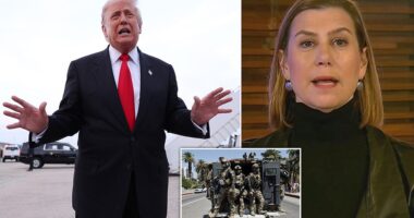 Donald Trump has threatened Democratic lawmakers with execution after they called for soldiers to refuse their orders. 'Seditious behavior, punishable by death!' the president wrote on Truth Social on Thursday. 'This is really bad, and dangerous to our country. Their words cannot be allowed to stand.' Senators Mark Kelly and Elissa Slotkin, as well as Representatives Jason Crow, Maggie Goodlander, Chris Deluzio and Chrissy Houlahan, all veterans, published a video this week urging troops to defy 'illegal orders.'