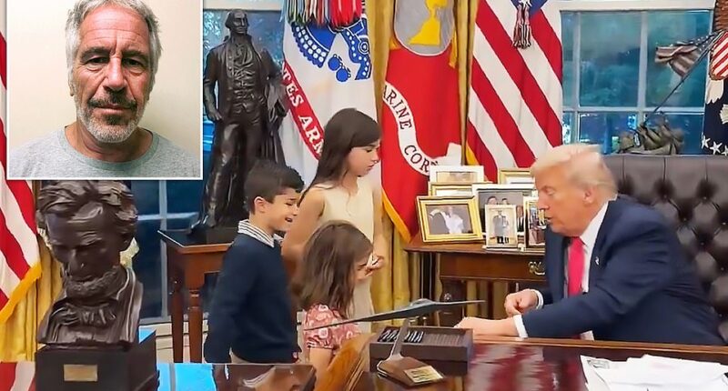 Donald Trump ordered Attorney General Pam Bondi to investigate Jeffrey Epstein 's relationship with Bill Clinton and other prominent Democratic donors amid the bombshell release of the deceased [child predator's] email scandal. The president also raged at 'weak republicans' for being 'soft and foolish' politicians playing into the 'Epstein hoax.' Republicans, earlier this week, published 23,000 pages of emails from Jeffrey Epstein where the billionaire [child predator] claims he has a blackmail on 'dirty Donald.'