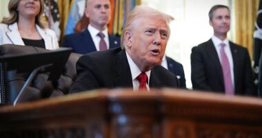 The Trump administration made a last-minute bid to the Supreme Court to halt SNAP payments after an appeals court affirmed an order requiring the White House to fund the benefits amid the government shutdown