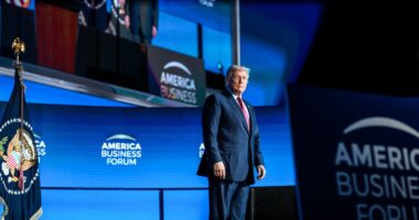 Trump's Midterm Performance Could Define a Populist Decade, or Cause Carnage the World Over...