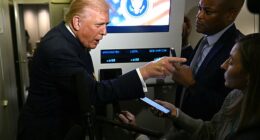 Donald Trump snaps at a journalist after being asked about the Epstein files on Air Force One