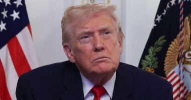President Donald Trump's alternative peace plan could be a massive investment deal with Russia valued at $300 billion