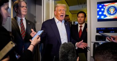 Trump said that Musk had a 'bad' and stupid moment' following his departure from the administration earlier this year