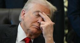 President Donald Trump captured in the Oval Office on Thursday. At the event he expressed anger that Democratic candidates in Virginia and New Jersey were able to win on the issue of affordability - which propelled him to the White House one year before