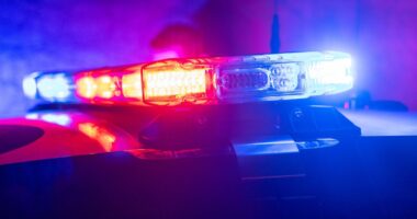 Two people injured in Black Friday shooting at Bay Area mall, police say