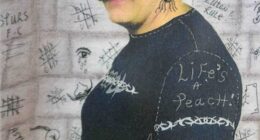 Tyson Fury, John Terry and Dennis Wise are among the high-profile sports stars backing a viral campaign calling for the release of notorious British prisoner Charles Bronson (above)