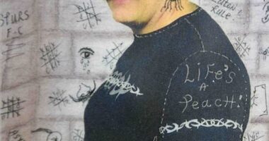 Tyson Fury, John Terry and Dennis Wise are among the high-profile sports stars backing a viral campaign calling for the release of notorious British prisoner Charles Bronson (above)