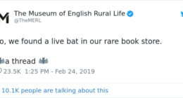 UK Library Museum Posts Hilarious Twitter Thread About A Bat Found In Their Store