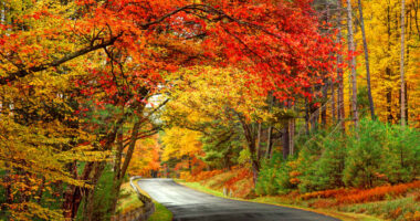 U.S. stock futures inch higher as Wall Street looks to extend winning streak in November