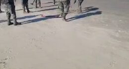 The IBWC is a binational agency which oversees the border and water treaties between the US and Mexico, marking the international boundary as one of it's several jobs