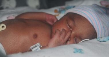 Undercover Footage Shows How Easy It Is to Get a Late-Term Abortion.