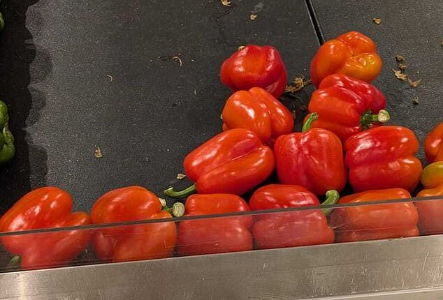 Daily Mail observed a Customer Notice sign at a Coles store in Sydney indicating that capsicums were currently in short supply