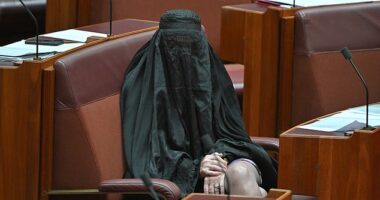 Pauline Hanson (pictured) wearing a burqa on the Senate floor on Monday afternoon