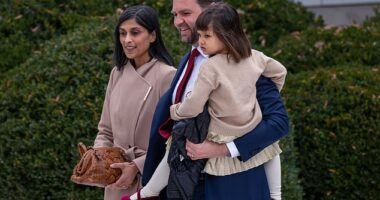 Second Lady Usha Vance was spotted wearing her wedding ring today at the traditional turkey pardoning Thanksgiving ceremony at the White House