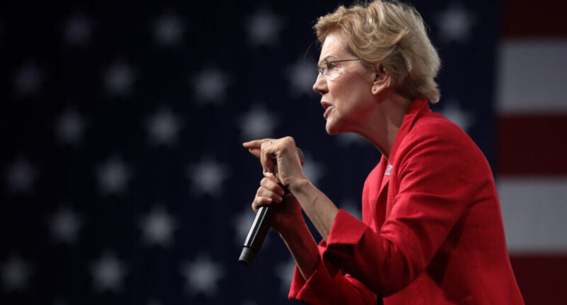 Warren Yells 'Soak The Rich' While Making Millions On Wall Street