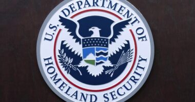 Watch CBP Agents Taking Care of Business on the Streets of NC in New 'Operation Charlotte's Web' – RedState