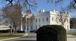 We Need To Deport 1 Million Illegal Immigrants A Month