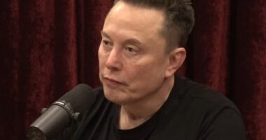 Elon Musk is pictured during his latest appearance on the Joe Rogan Experience