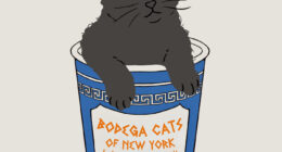 What Is A Bodega Cat? (10 Pics)