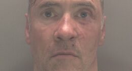 Paul Doyle, 54, was told he faces jail after driving his car into crowds at the Liverpool victory parade