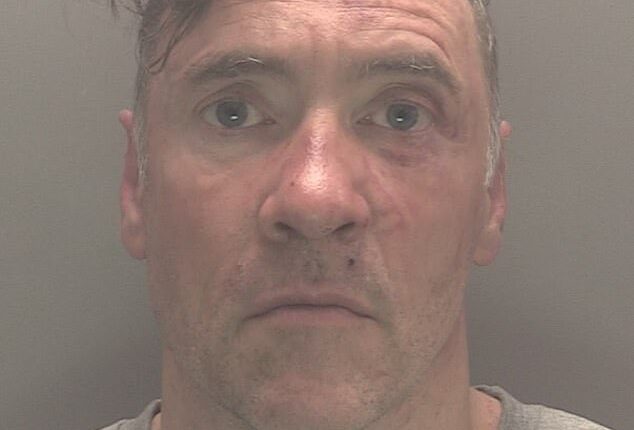 Paul Doyle, 54, was told he faces jail after driving his car into crowds at the Liverpool victory parade