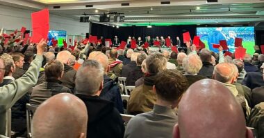 Celtic fans hold aloft red cards as the club's annual general meeting descended into farce