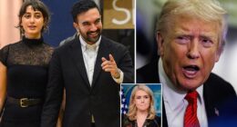 White House Press Secretary Karoline Leavitt tore into New York mayoral candidate Zohran Mamdani for his suggestion that President Donald Trump may be tied to Election Day bomb threats. As Americans head to the polls across the country and in New York City for its mayoral elections on Tuesday, the 34-year-old democratic socialist appeared to link Trump to threats made against polling stations. Asked about bomb threats across multiple polling locations in New Jersey while out doing some last-minute campaigning, Mamdani bizarrely shifted blame onto the president.