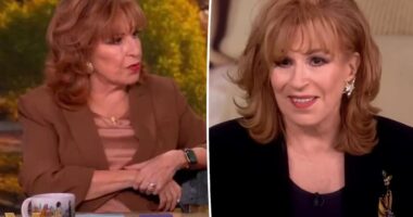 Why Joy Behar has been absent from 'The View'