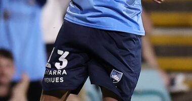 Sydney FC striker Pat Wood is only 23, but he is on the verge of an achievement many footballers would love to have on their CV (pictured, celebrating a recent goal against the Central Coast Mariners)