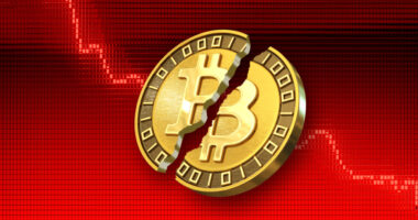 Why bitcoin’s brutal drop from an October record high is now a crucial barometer for the broader market