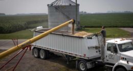 Why the U.S.-China trade truce has a catch for the U.S. soybean market — and American farmers