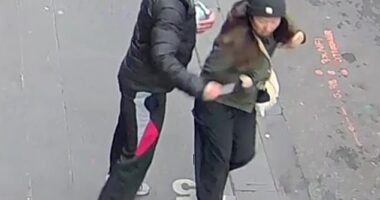 Clutching a soccer ball and a knife, Lauren Darul is accused of stabbing Wan Lai as she walked to work