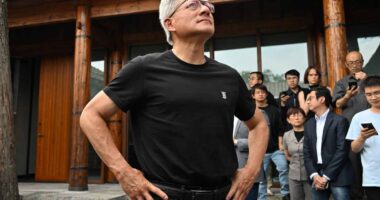 Why the once-invincible Nvidia can’t save the AI trade