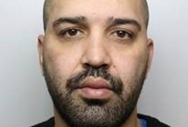 Amin Abedi Mofrad, 35, who raped a 15-year-old in an alleyway on Valentine's Day