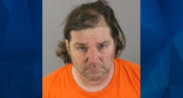 Wisconsin Man Crashed Car, Leaves 77-Year-Old Mother to Die Alone