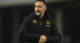 Wolves sack Vitor Pereira after winless start to Premier League season