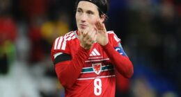 Craig Bellamy’s side have been drawn at home against Bosnia and Herzegovina in their play-off semi-final, while Northern Ireland or Italy awaits them in the final if they are successful