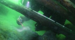 World briefing: TikTok star executed, film legend dies and seabed secrets