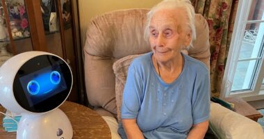 ‘If it tells me to walk, I get my stick’: How robots are caring for Britain’s vulnerable and elderly