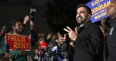 ‘It’s survival math every month’: The rent crisis that got Zohran Mamdani elected goes far beyond New York City