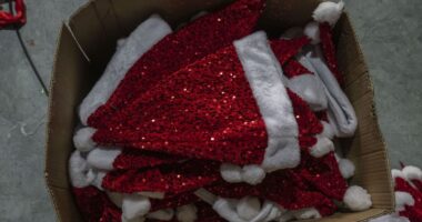 ‘Santa Flaws Rally’ has legs so don’t sell stocks yet, advises Bank of America strategist