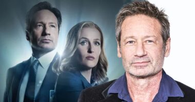 ‘The X-Files’ Stars Net Worths — Fact, Fiction, and the Money They Made from Mulder and Scully
