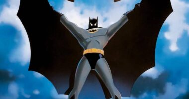 10 DC Comics Movies That Are 10/10, No Notes