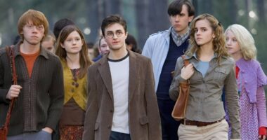 10 Harry Potter Scenes No One Wants in the HBO Reboot