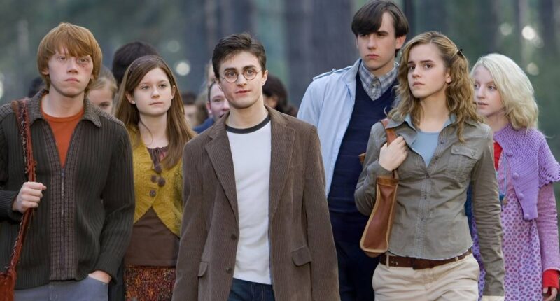 10 Harry Potter Scenes No One Wants in the HBO Reboot