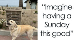 103 Funny And Wholesome Posts Featuring Animals To Cleanse Your Feed