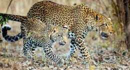 12 of the best TV series that are actually appropriate to watch with your parents (and won't make you squirm)