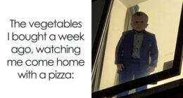 120 Hilarious Memes That Make You Forget What You Were Stressed About