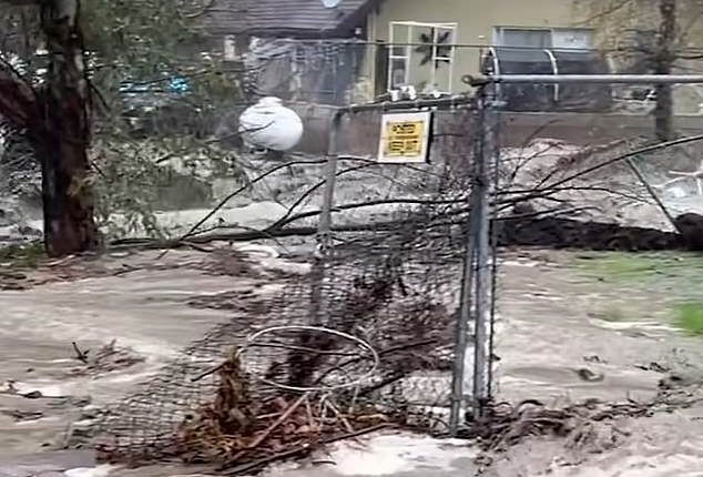 The holiday period is forecast to be a washout for the Golden State this year, with meteorologists warning that up to eight inches of rain is expected to hit several areas including Los Angeles County and Santa Barbara over the next four days